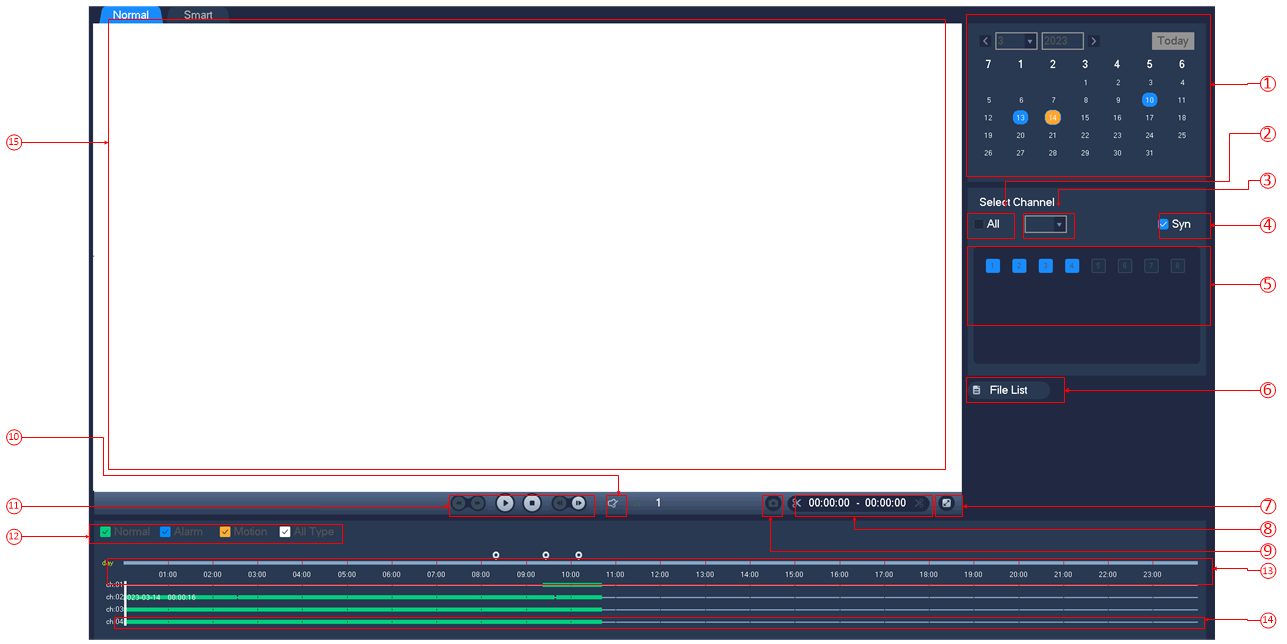 NVR Playback ძებნის ეკრანი